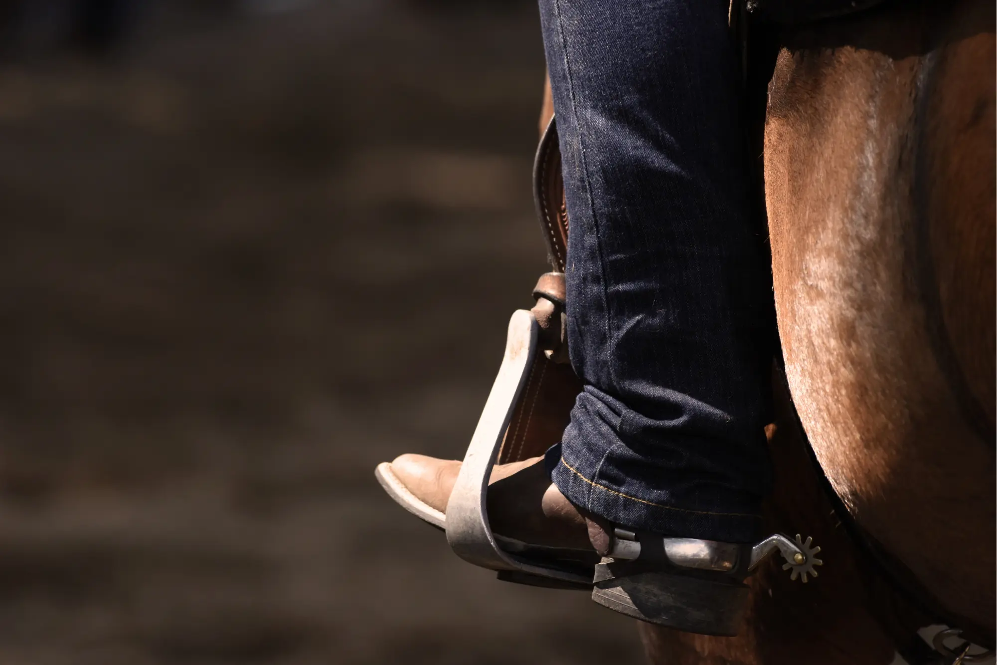 horseback riding in montana Yellowstone Trail rides Picture of shoe in horse stirrup to show horseback riding in Montana and Yellowstone trail rides