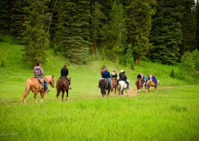 group of people horseback riding in yellowstone national park