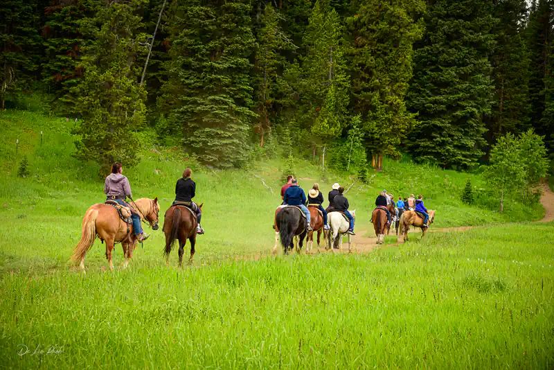 Private group of horseback riders enjoying the West Yellowstone Forest plains with a tour guide
