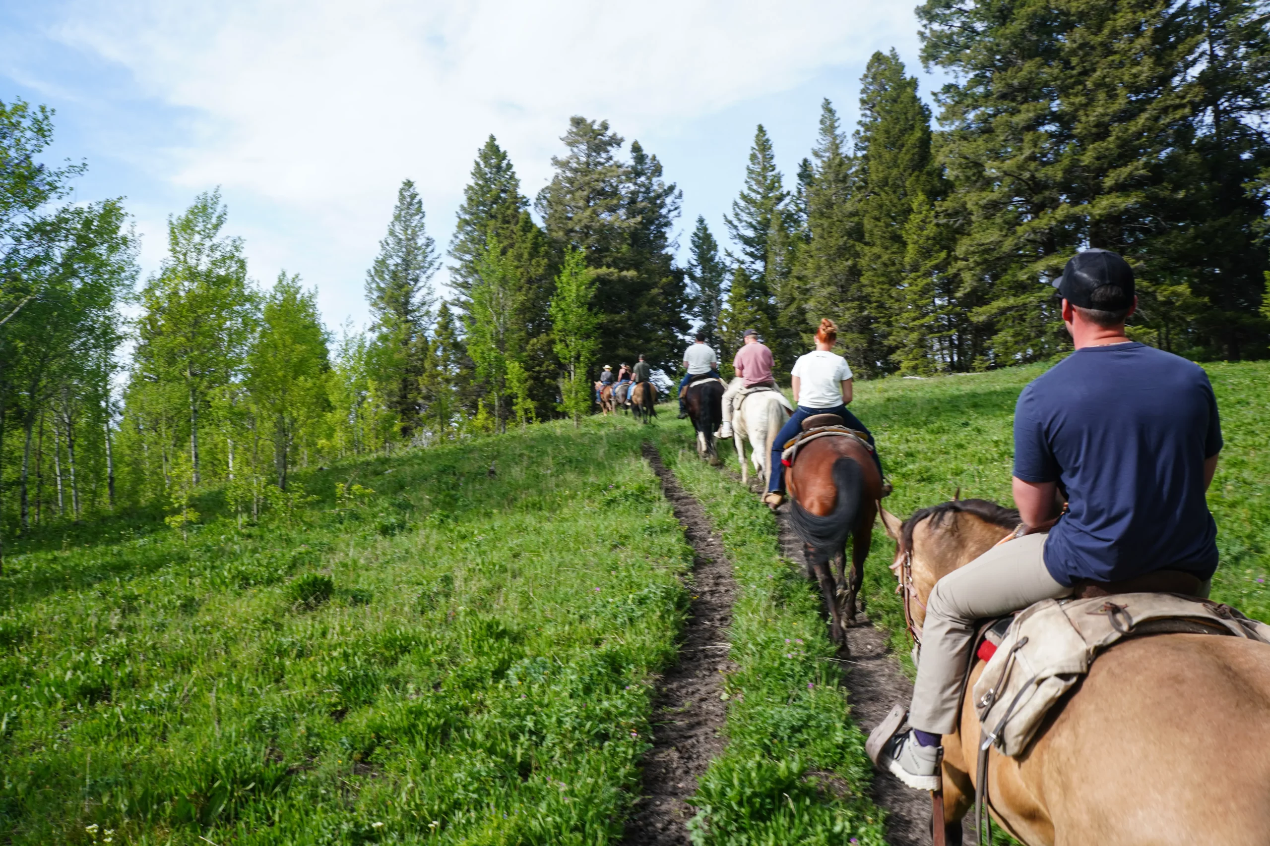 group of horseback riders on a trail ride in the woods with Diamond P Ranch