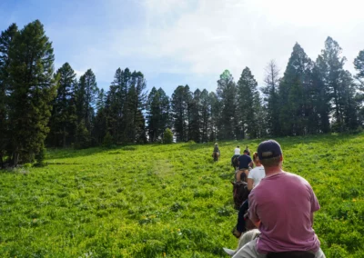 meadows in Gallatin National Forest with horseback riders