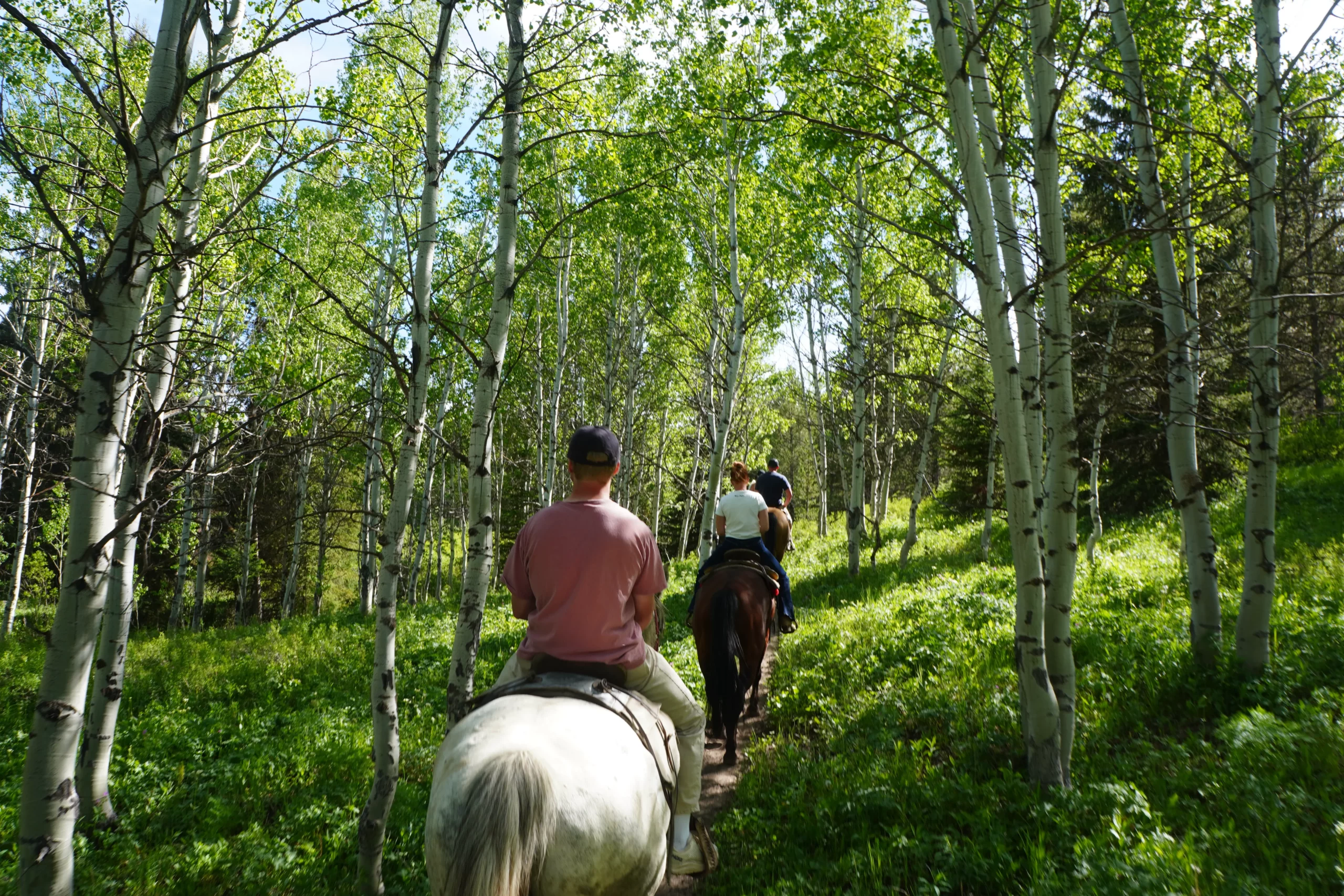 guided horseback trail ride near Yellowstone