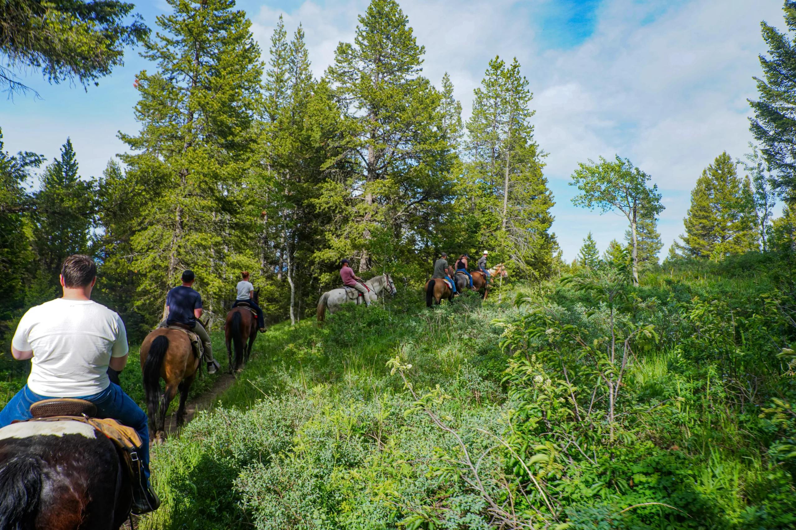 high country trail rides guided Horseback ride through the mountains