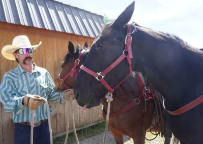 Horseback guide Yellowstone