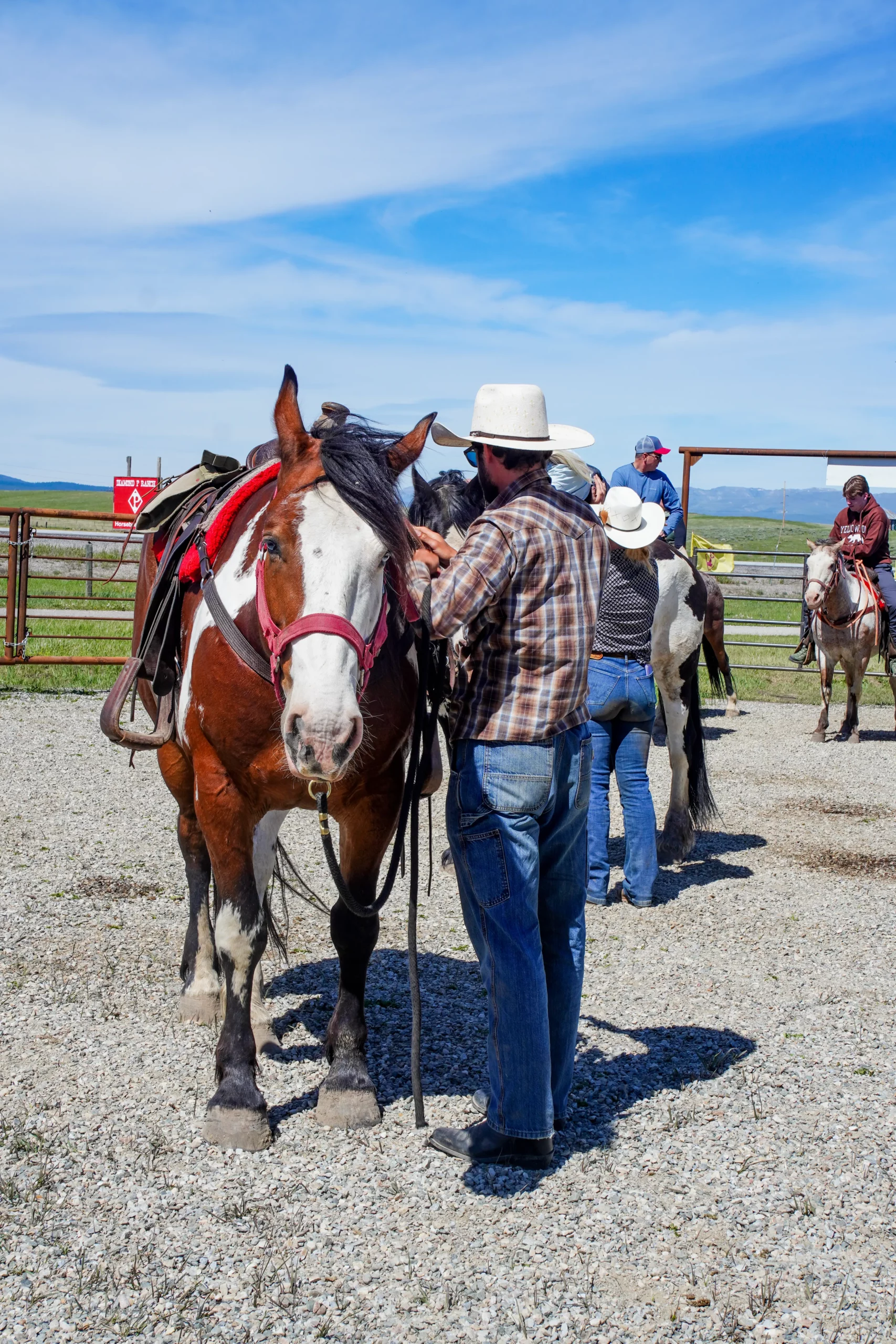 horseback rides for beginners near Yellowstone Guide at Diamond P Ranch taking care of horse to show horseback rides for beginners