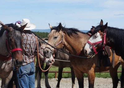 Horseback Riding in Bozeman Montanna