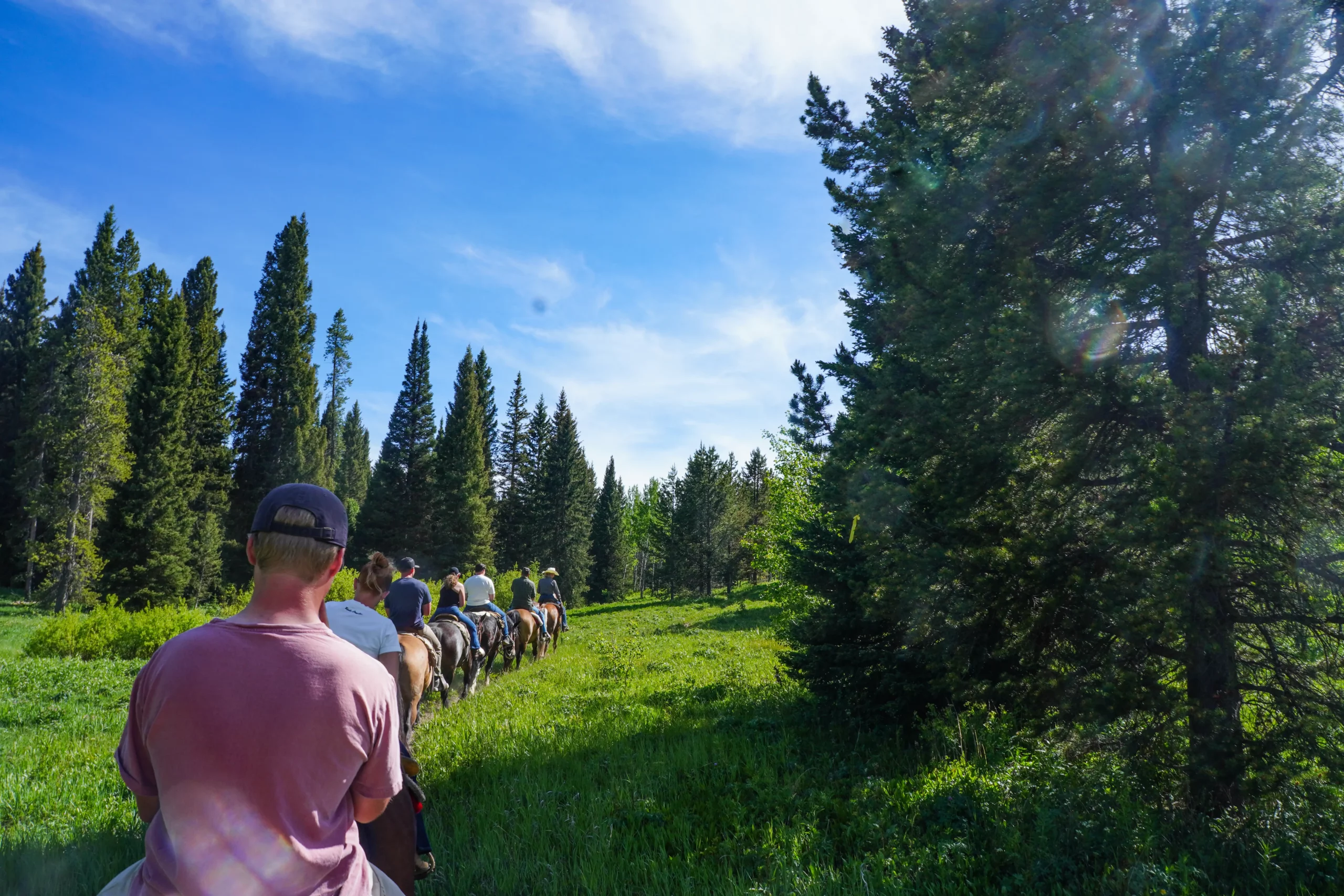 horseback trail ride through the Gallatin National Forest group of horseback riders on the trail with guide from Diamond P Ranch to show horseback trail ride through the Gallatin National Forest