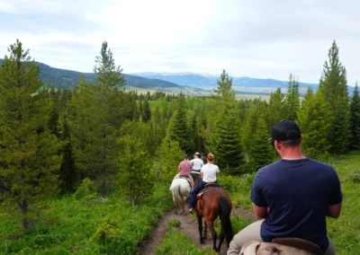 Trail Views Yellowstone Horseback