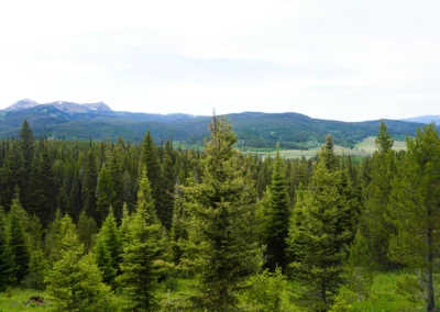 Trails in Bozeman Montana